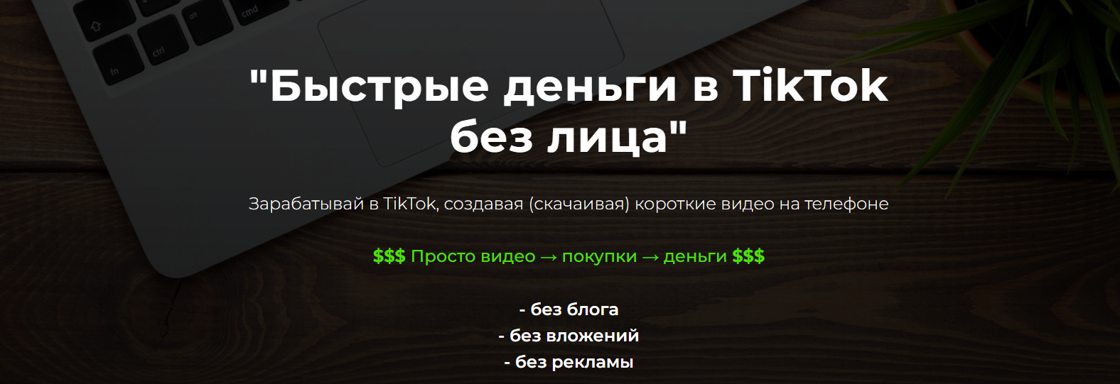 [Александр Пуминов] Быстрые деньги в TikTok без ли_0.png